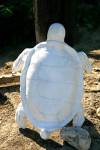 Ceramic Caretta-Caretta in Planos village